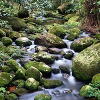 Ilha Grande, Rio de Janeiro
